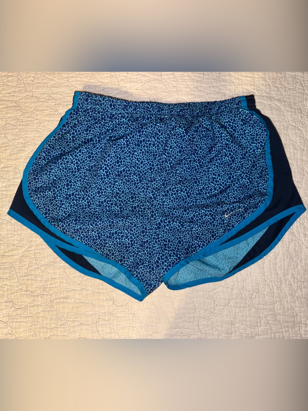 Nike Dri-Fit Athletic Shorts